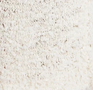 Adela Skirt in Ivory - Image 7
