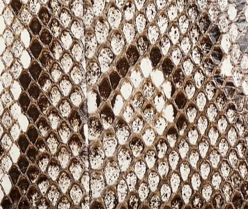 Audrey Top Handle Bag in Natural Python - Image 6