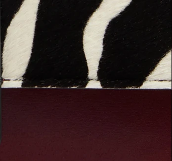Blake Crossbody Bag in Zebra Print Haircalf and Oxblood Leather - Image 6