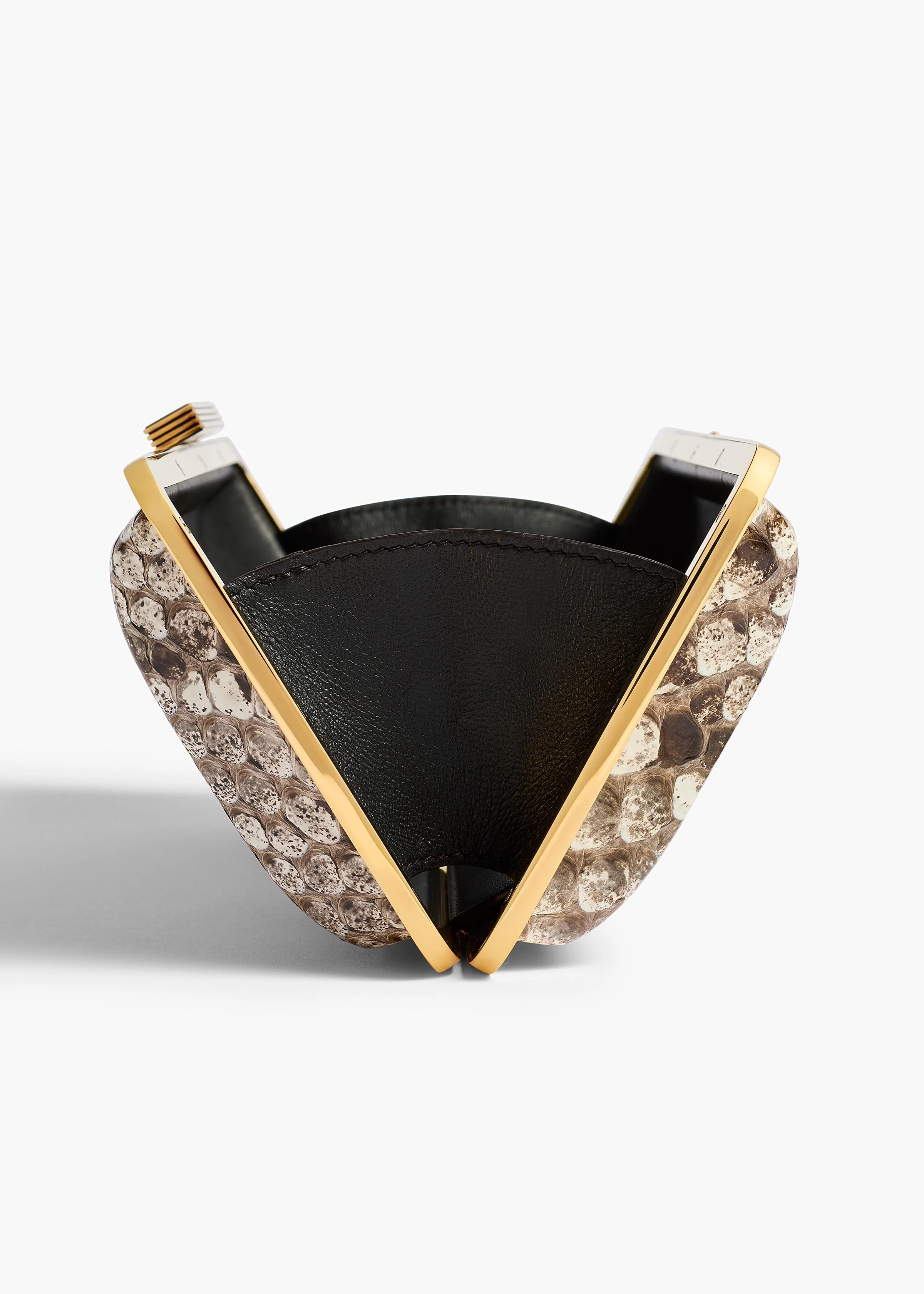 Casey Minaudiere in Natural Python - Image 4
