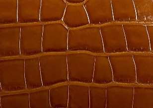 Miles Loafer in Dark Honey Alligator - Image 5