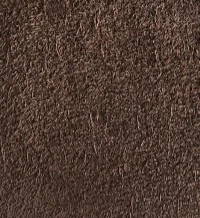Cecilia Pump in Sable Suede - Image 6