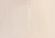 Timy Top in Tea Stain - Image 7
