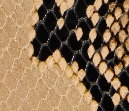 Liria Kitten Heel Sandal in Python-Embossed Taupe - Image 5
