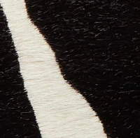 Small Lotus Tote in Zebra Print Haircalf and Black Suede - Image 6