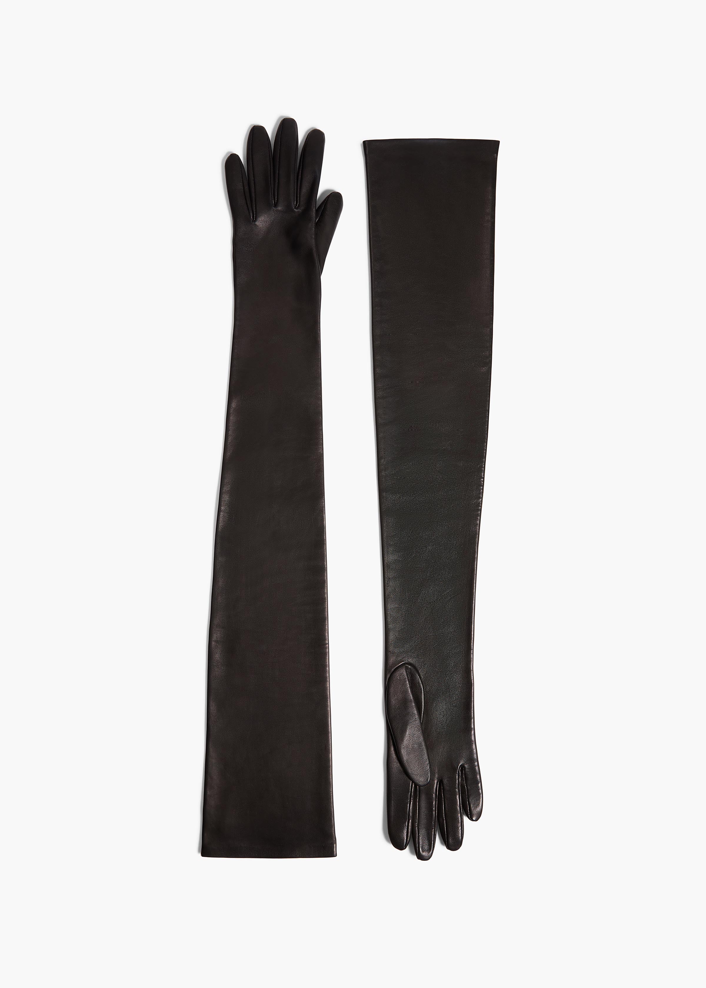 Remo Long Gloves in Black Leather
