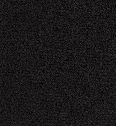 Robbie Short in Black - Image 7