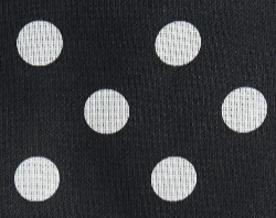 Winton Skirt in Black with White Dots - Image 7